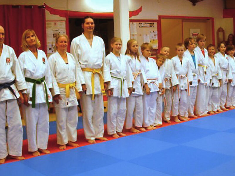Träning och gradering 2013