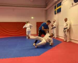 IMG_1510 IMG_1510